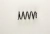 FIAT 46448526 Coil Spring